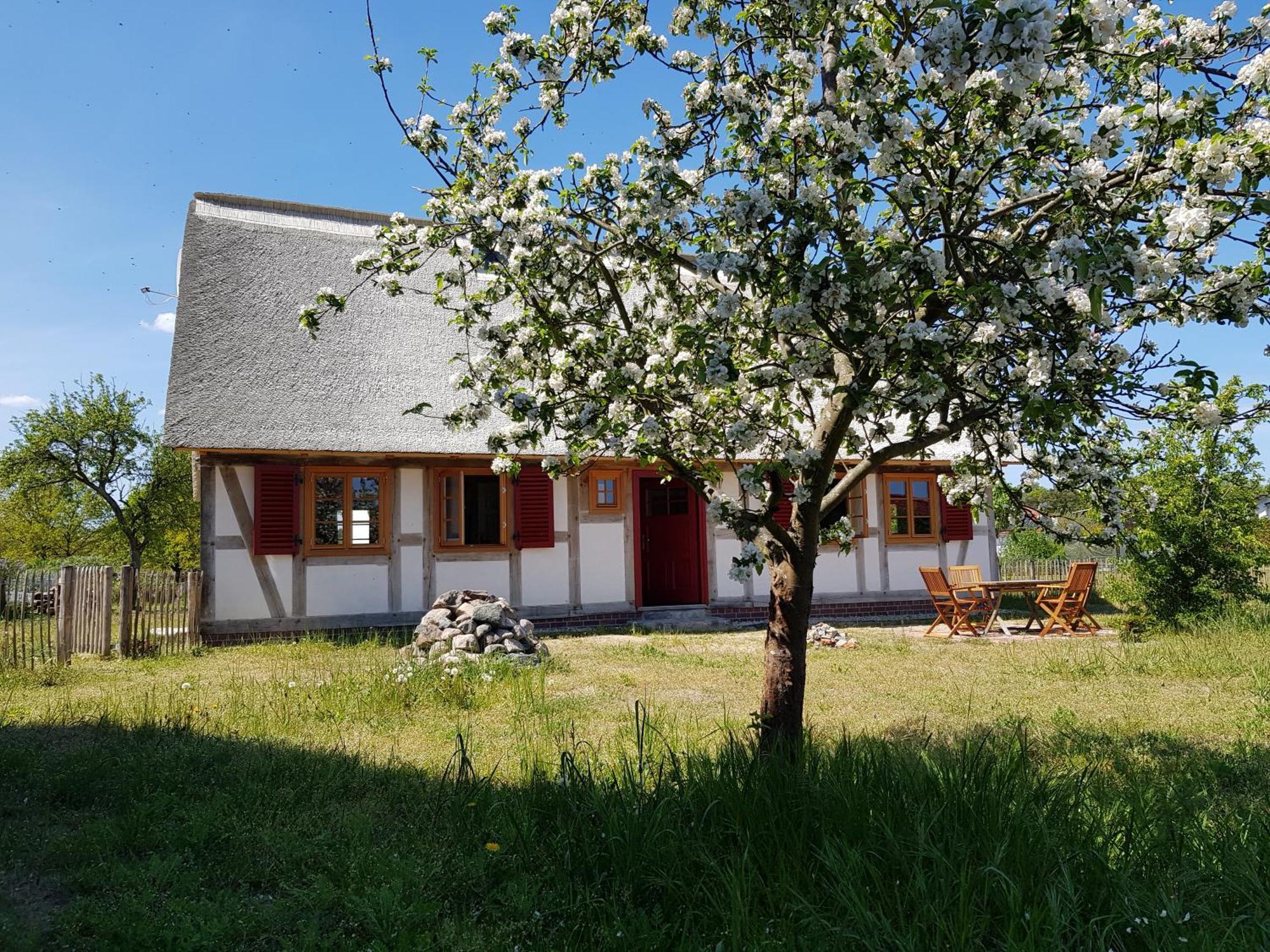 Fischerhus Luett Hauke 69 Qm Traudel Altwarp Kültér fotó
